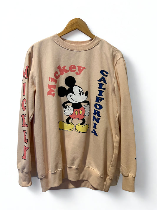 Buzo Disney